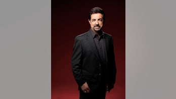 Joe Mantegna talks Memorial Day: 'It’s the most important holiday'
