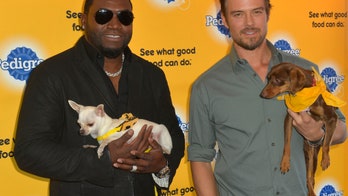 Josh Duhamel disappointed Obama didn’t get a rescue dog