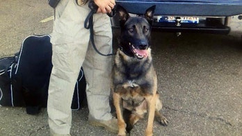 Mississippi K-9 officer dies from heat stroke after deputy's car engine shuts down, authorities say