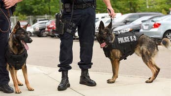K9 units are being harmed by a powerful, dangerous drug