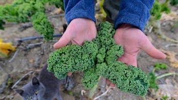 Kale might not be as healthy as you think it is