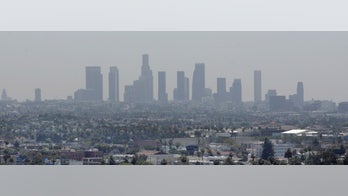 Air pollution may shrink the brain, study suggests