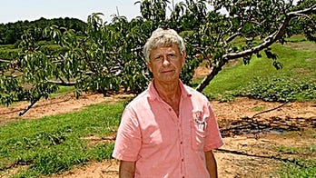 EPA regs likely to kill 68-year-old Louisiana peach orchard