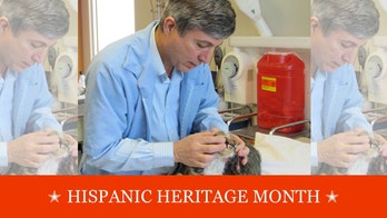 The 'whitest profession': Despite outreach, few Latinos go into veterinary medicine