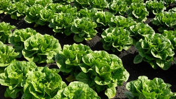 Amid romaine lettuce E. coli outbreak, restaurants aim to soothe customers