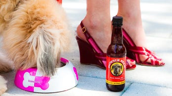 A special breed of traveler rises to celebrity-like status