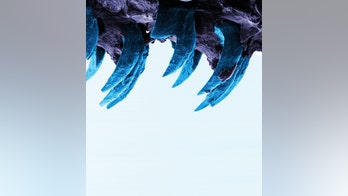 Sorry, spiders: Sea snails make strongest material on Earth