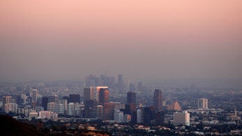 Air pollution boosts lung, heart risks, studies find