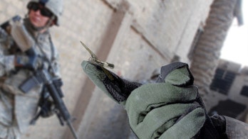 How drones and insects merged in ways that might surprise you