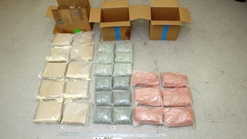 Health officials caution against concert drug 'Molly' after music festival deaths