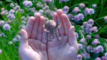 Magic Leap could be Oculus Rift killer