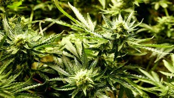 AMA: Pot use in pregnancy may pose risks, warnings needed