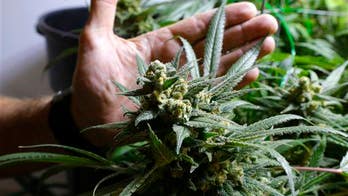 Marijuana can help heal a broken bone ... and make it stronger