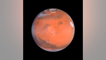 Search for Mars life starts on Earth