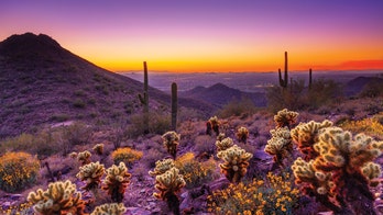 Best spring break value travel destinations: Scottsdale