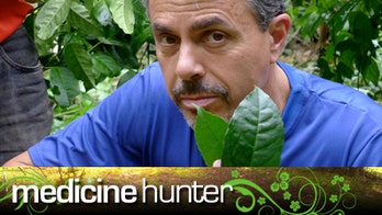 Herbal education for doctors and more