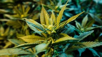 Colorado rejects PTSD as ailment eligible for medical pot