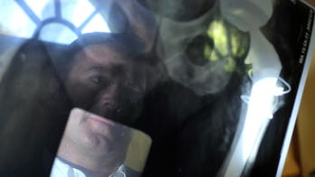 FDA panel sees little use for metal-on-metal hips