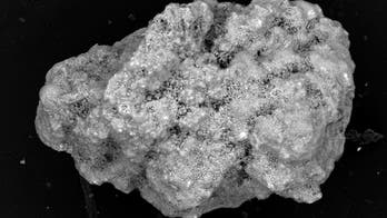 Could there be organic matter on Mars?