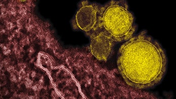 Coronavirus: 56 dead and 1,975 infected as Canada reports 1st case