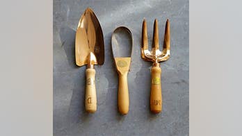 Mom dies after gardening scratch leads to sepsis