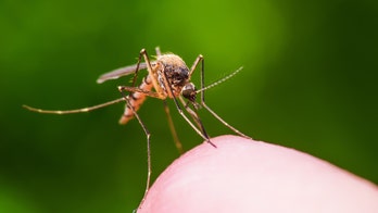 Eastern Equine Encephalitis kills Massachusetts man; 2nd death in state this year