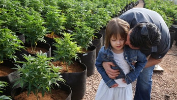 Doctors express concern over marijuana strain used to treat kids with seizures