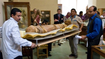 Even 4,000 year-old mummies had clogged arteries, study reveals