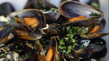‘Safe’ levels of neurotoxin found in seafood may cause kidney damage