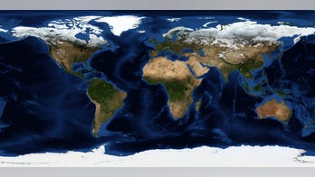 Leaked UN climate report slammed for citing WWF, Greenpeace