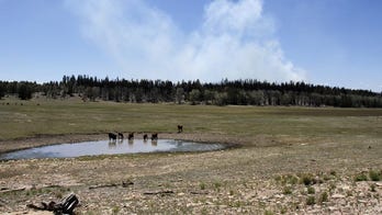 New Mexico ranching family tells feds: Don’t fence us out