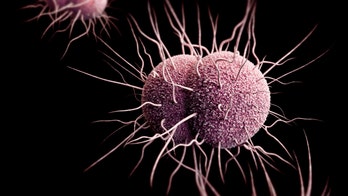 WHO warns of untreatable superbug gonorrhoea found in at least 3 patients