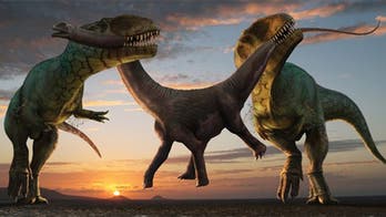 Paleo-artists breathe life (and color) into dinosaurs