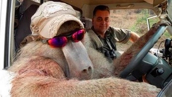 Australian big game hunter resigns from VP position at private club after backlash over trophy photos