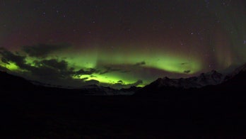 Iceland Airwaves draws crowds to see wonders of Reykjavík and beyond