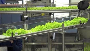 FDA vetoes Novo Nordisk insulin drug