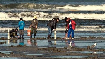 2 women die while digging for clams on Washington beaches