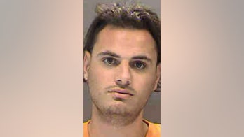 'Siesta Key's' Pauly Paul arrested for marijuana possession