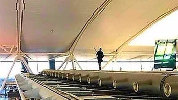 Cat misses flight after escaping carrier at John F. Kennedy International Airport