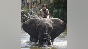 Save the Elephant Day -- Elizabeth Hurley stars in new family film highlighting world poaching crisis