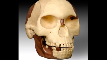 History's biggest scientific fraud goes under the microscope