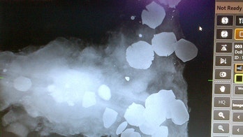 Dive signals more treasure at US pirate ship wreck