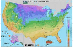 Learning the Lingo: Garden Terms, From Grading to Macronutrients