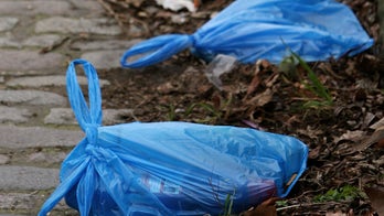 Al Qaeda-affiliated terror group launches war on plastic bags