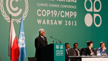 UN carbon emissions reduction system awash in cash as it claims to face hard times