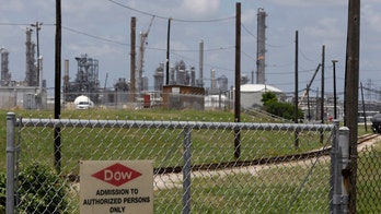 Scientists, researchers explore replanting trees to help catch pollution