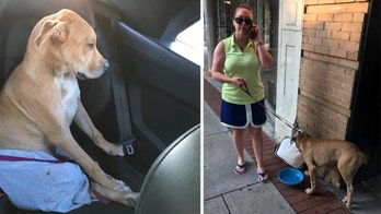 Dog rescued by cyclist in Georgia finds forever home with woman in Maine