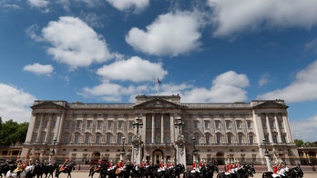 'Magic' mushrooms in Royal Garden: What is Fly Agaric?