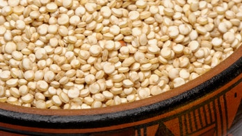 14 best vegan and vegetarian protein sources