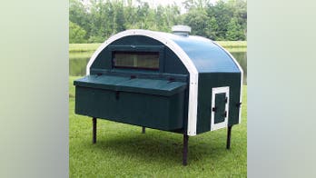 9 High-Design Chicken Coops So Your Backyard Birds Can Roost in Style